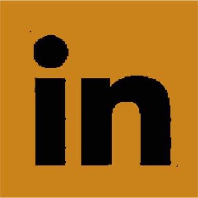 Linkedin Juliana Braun Martins